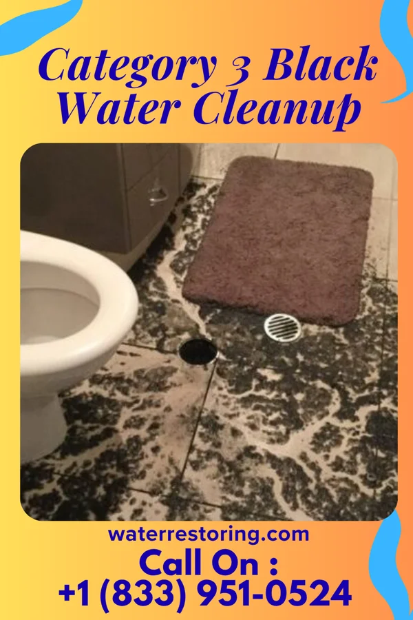 Category 3 Black Water Cleanup in Milton-Freewater, OR